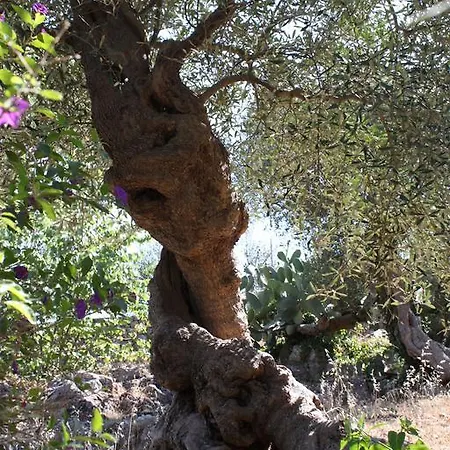 Gaia